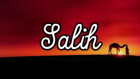 Salih (as)