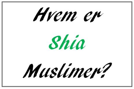 Hvem er shia muslimer 