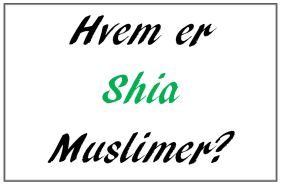Hvem er shia muslimer?